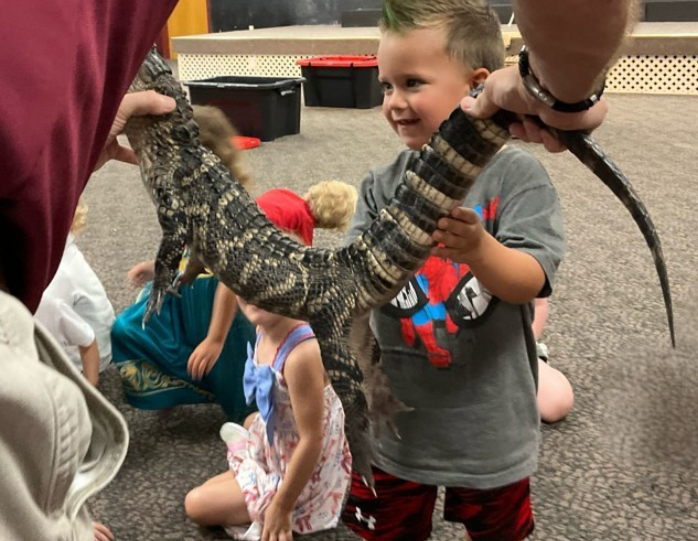 Child looking at a reptile during the reptile event